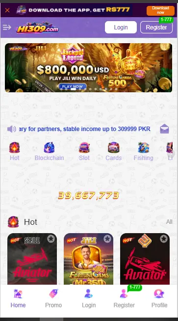HI309 Game
